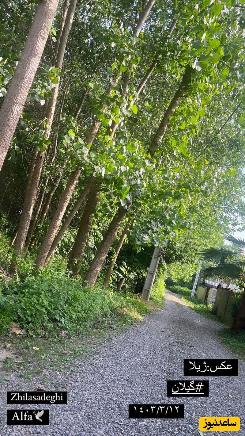 گیلان