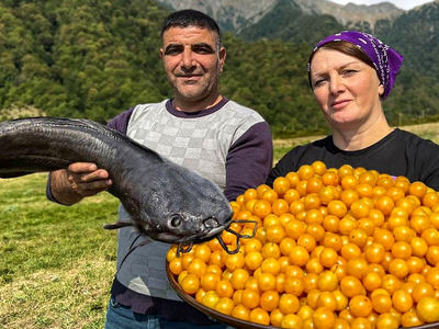رازهای آشپزی روستایی در آذربایجان: از برداشت آلوچه تا تهیه غذای محلی / فیلم