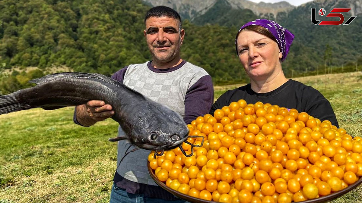 رازهای آشپزی روستایی در آذربایجان: از برداشت آلوچه تا تهیه غذای محلی / فیلم