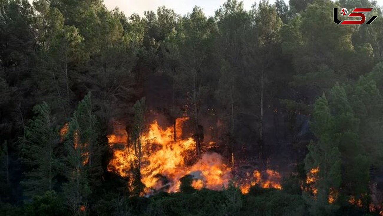 جنگل های مجموعه گردشگری در آتش سوزی / چدین هکتار زمین سوخت