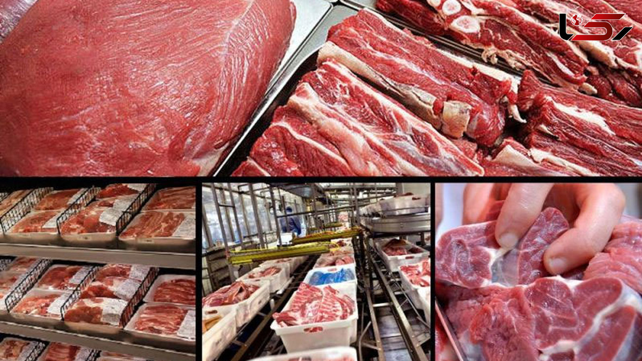 واردات ۲ برابری گوشت نسبت به سال گذشته/ محدودیتی در واردات دام سنگین وجود ندارد
