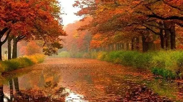 لحظه ای از جنس آرامش در دل طبیعت