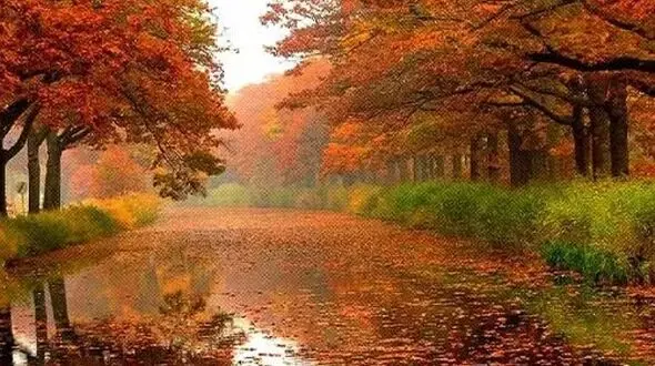 لحظه ای از جنس آرامش در دل طبیعت