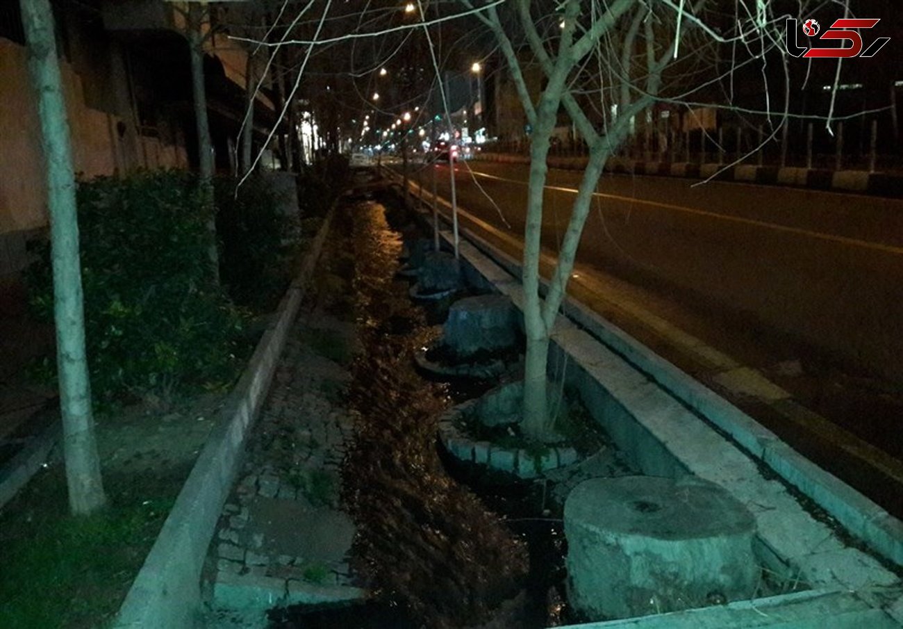  شهرداری تهران به انتشار ویدئوی قطع درختان خیابان ولیعصر واکنش نشان داد