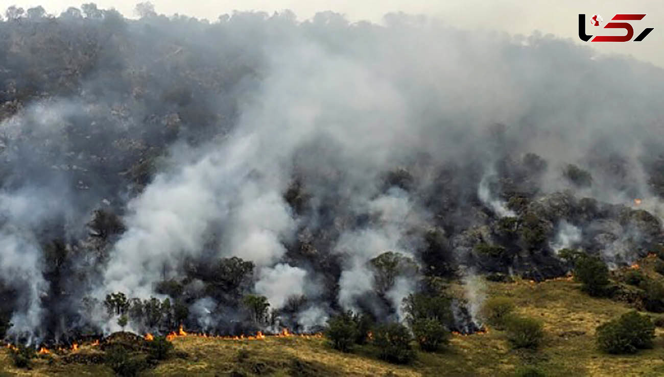 آتش‌سوزی در ارتفاعات شاه بهرام باشت 
