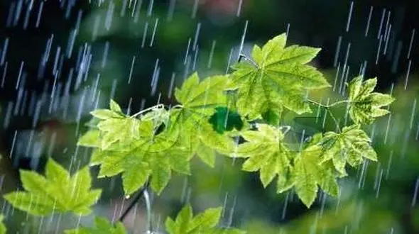 هفته آینده باران به کدام استان های ایران می زند؟ + نقشه پیش بینی بارندگی در کشور در هفته منتهی به سوم تیر 