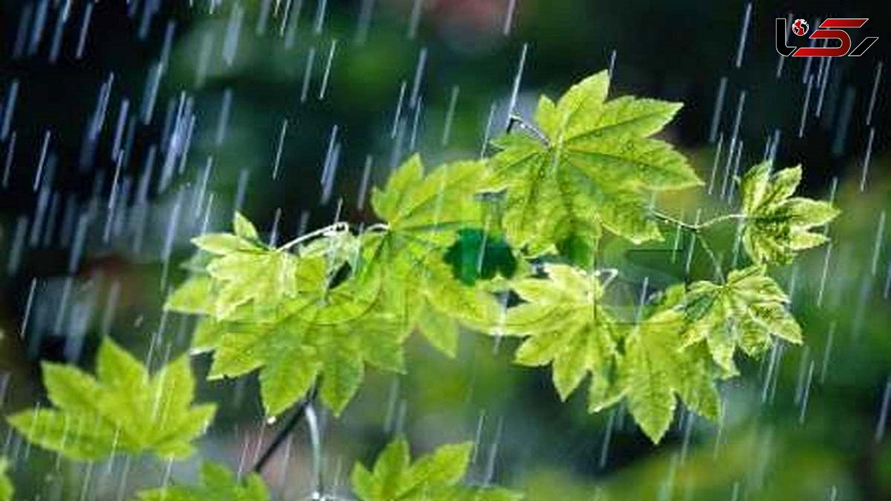 هفته آینده باران به کدام استان های ایران می زند؟ + نقشه پیش بینی بارندگی در کشور در هفته منتهی به سوم تیر 