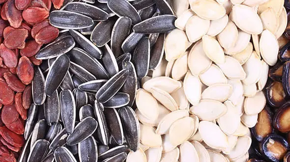 خواص انواع تخمه 