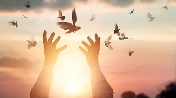 پاره شدن طناب دار یک قاتل در قزوین