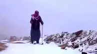 فیلم بارش برف در کوه جبل اللوز تبوک عربستان