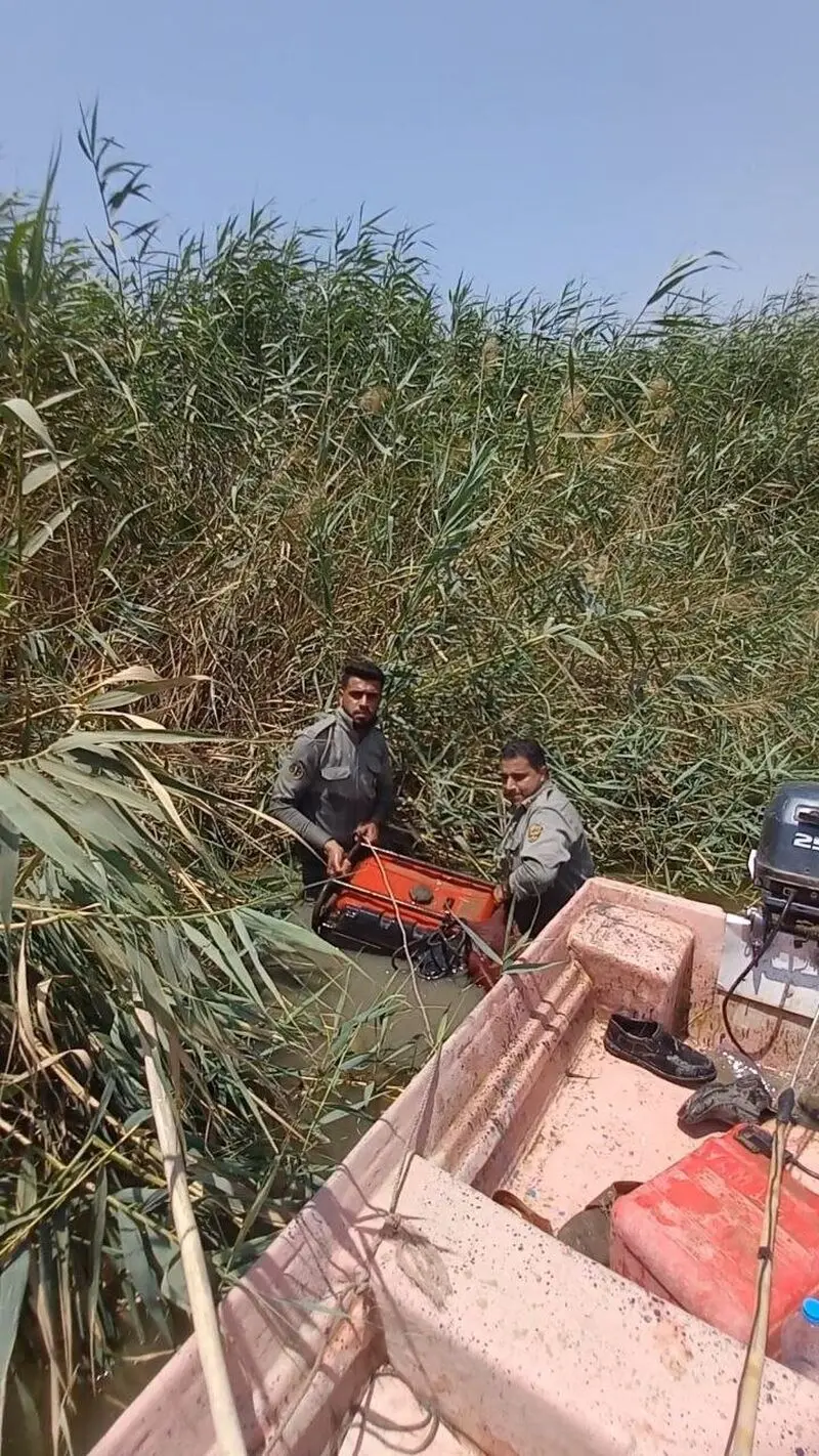 علی سجاد جلالی
