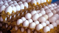 کشف بیش از ۲ تن تخم مرغ فاسد در شهرستان آستارا