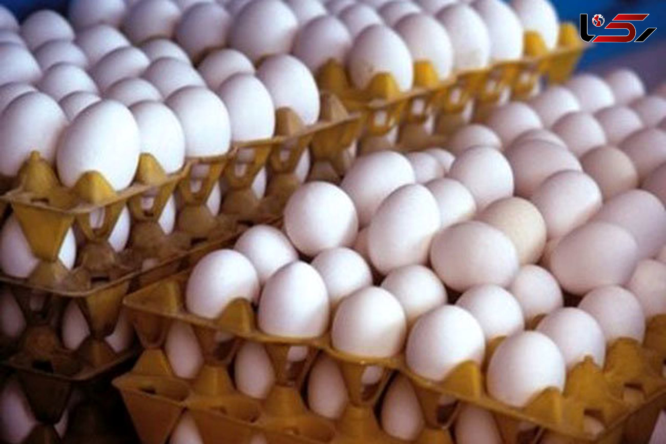 کشف بیش از ۲ تن تخم مرغ فاسد در شهرستان آستارا
