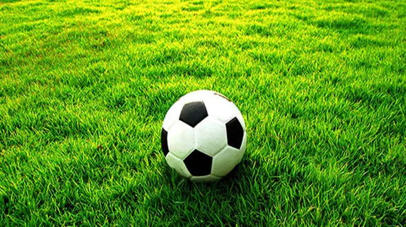 درگذشت پیشکسوت تهرانی در جریان بازی به دلیل گرما + عکس