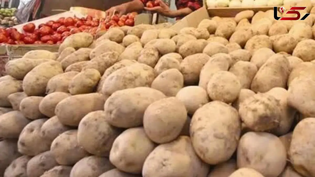 وعده رئیس اتحادیه میوه و سبزی / سیب زمینی ارزان راهی بازار می‌شود
