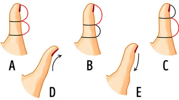 انگشت شست شما چه چیزی راجع به شخصیت شما نشان می دهد؟