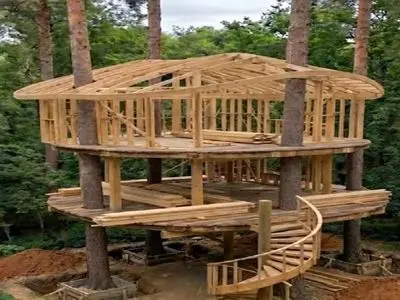 معماری خلاقانه؛ هر چی خونه درختی تا حالا دیدی بریز دور این آسه آس