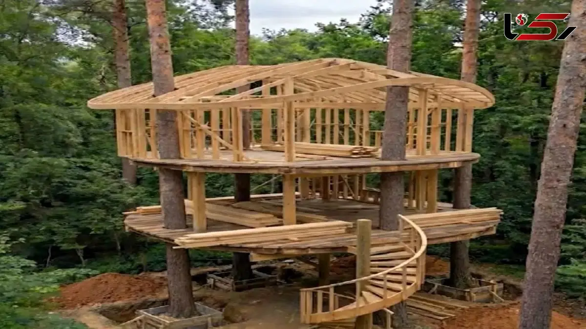 معماری خلاقانه؛ هر چی خونه درختی تا حالا دیدی بریز دور این آسه آس