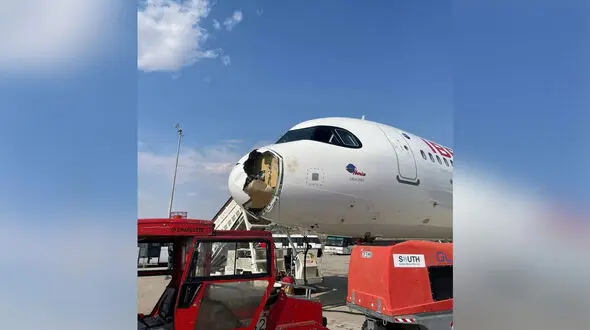 فرود اضطراری در مادرید / پرنده بزرگ، هواپیمای مسافربری را زمین‌گیر کرد + فیلم و عکس