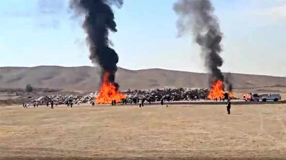 آتش زدن 800 تن کالای قاچاق در تهران + فیلم