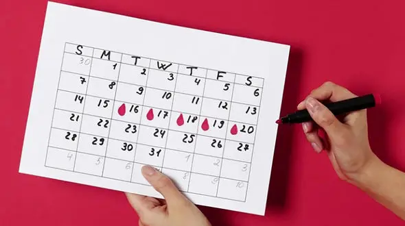 تخمک گذاری چیست ؟