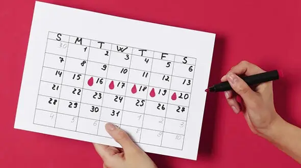 تخمک گذاری چیست ؟