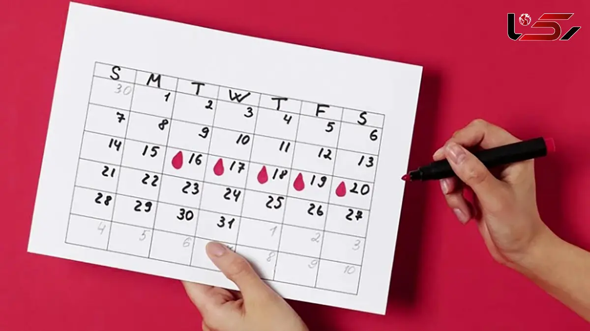 تخمک گذاری چیست ؟