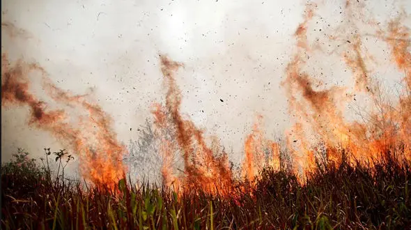 اولین آتش سوزی 1400سال در بزرگراه همت تهران