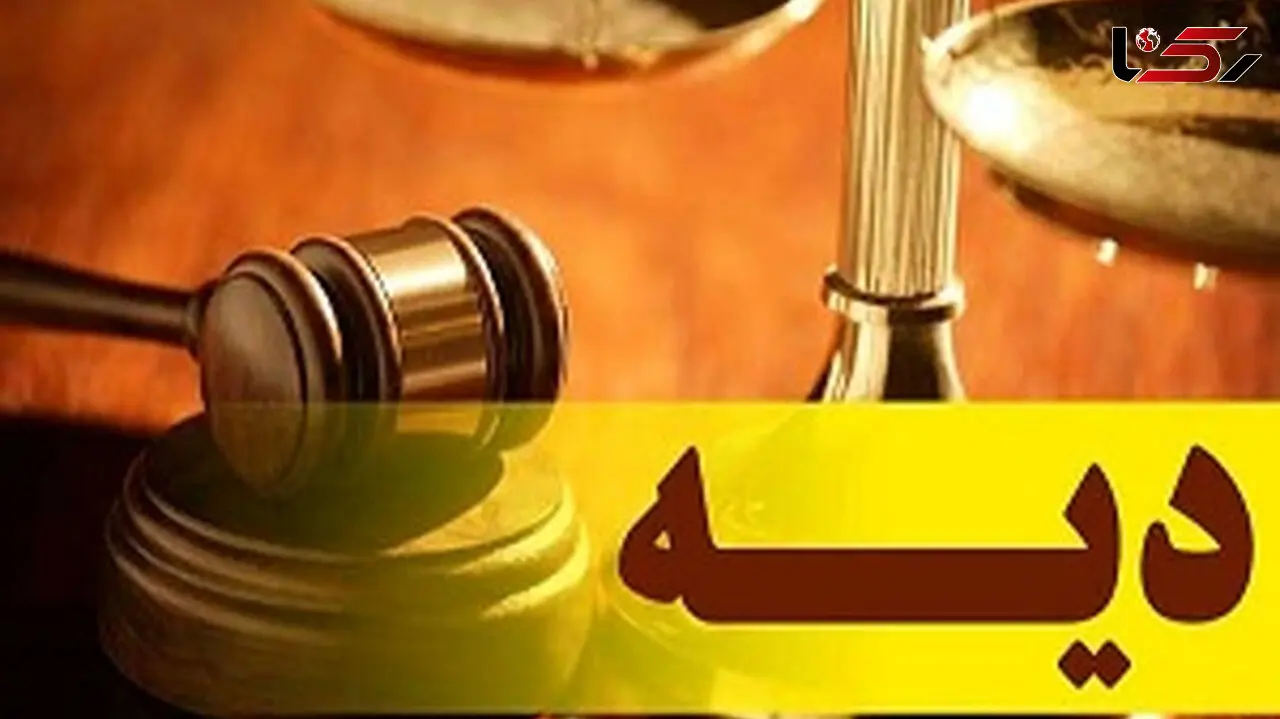 نرخ دیه سال ۱۴۰۲ اعلام شد 