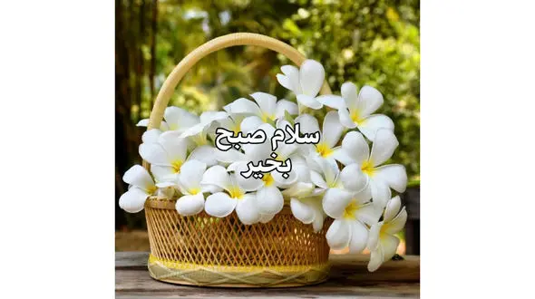 فال روزانه شخصی/ 31 تیر ماه + فیلم