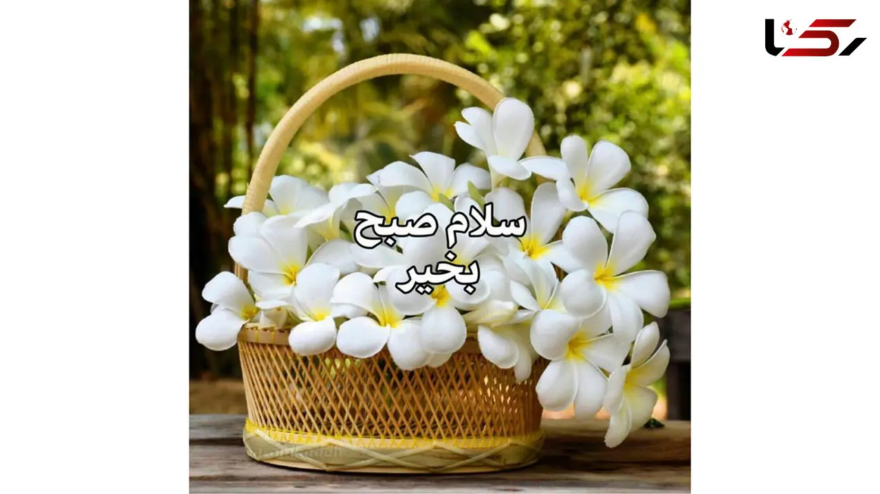 فال روزانه شخصی/ 31 تیر ماه + فیلم