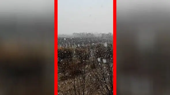 فیلم آغاز بارش برف در اشنویه
