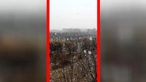 فیلم آغاز بارش برف در اشنویه