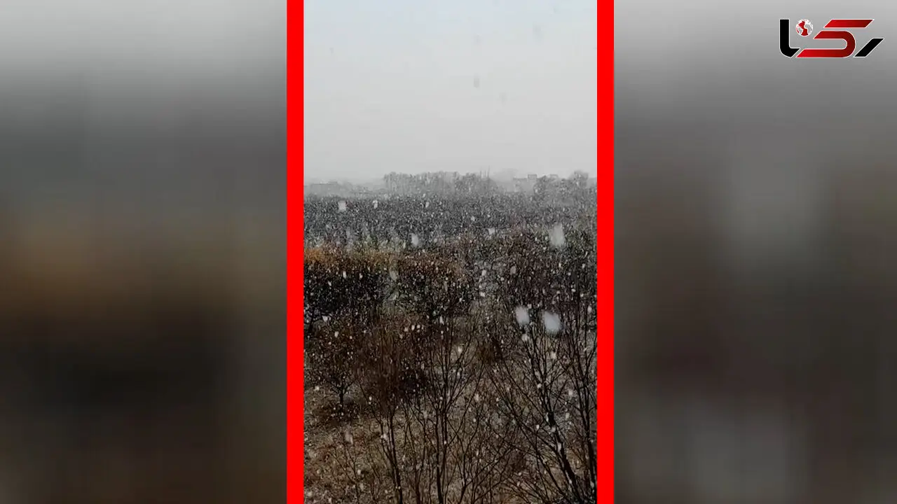 فیلم آغاز بارش برف در اشنویه