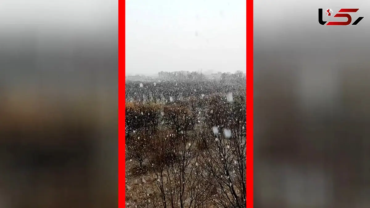 فیلم آغاز بارش برف در اشنویه