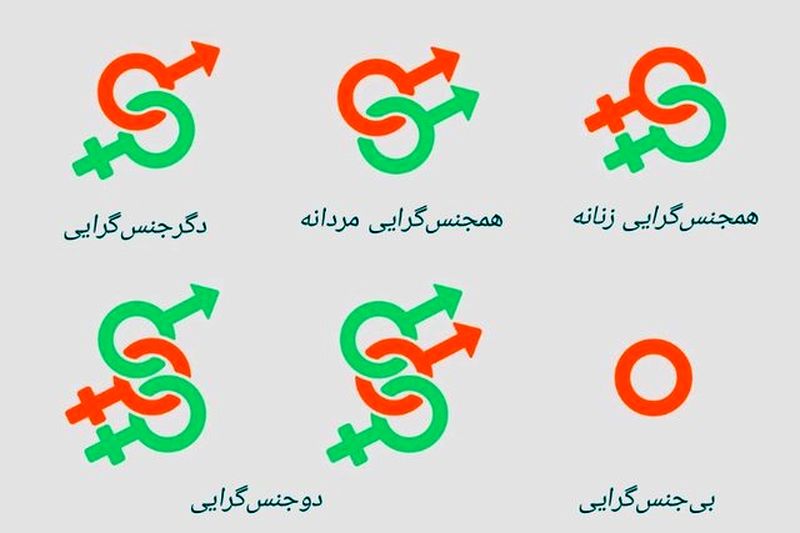 لیدی بوی