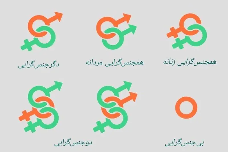 لیدی بوی