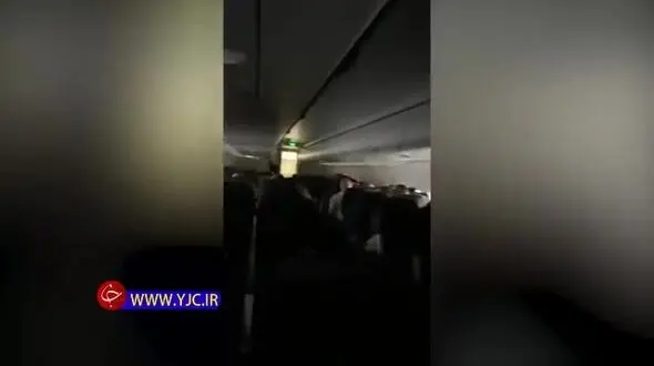 وحشت مسافران از وجود یک موجود ترسناک در هواپیما+فیلم
