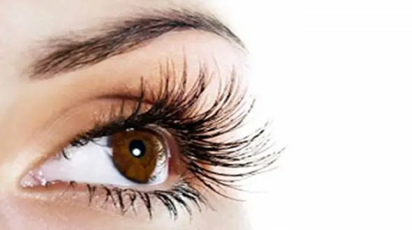 تقویت مژه با روغن زیتون