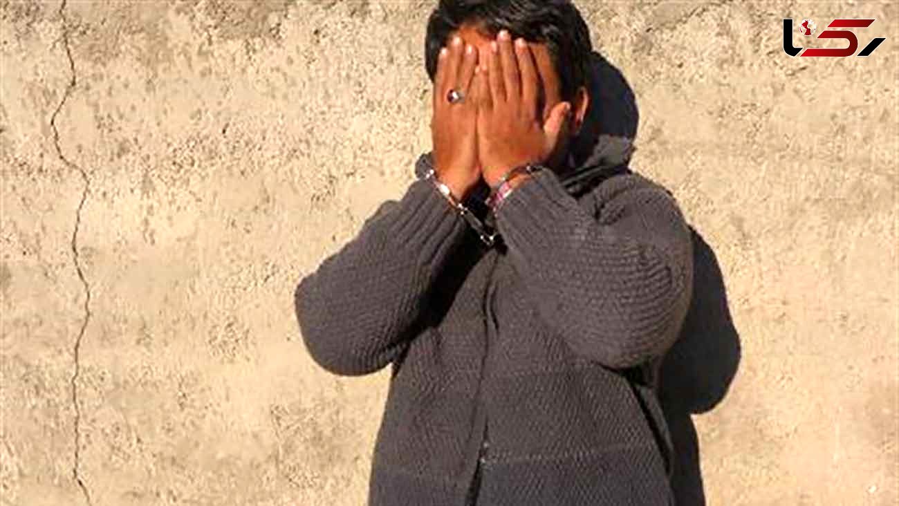 دستگیری عامل دستبرد به باغ ویلا های چناران