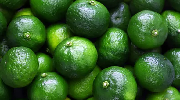 طبع نارنگی / خواص نارنگی برای کودکان