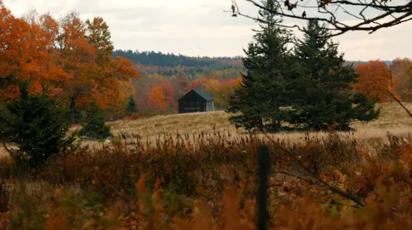 ۱۰ فیلم که تماشایش در فصل پاییز حالتان را خوب می‌کند  / حتما ببینید