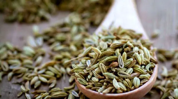 لاغری تضمین شده با این گیاه با خاصیت