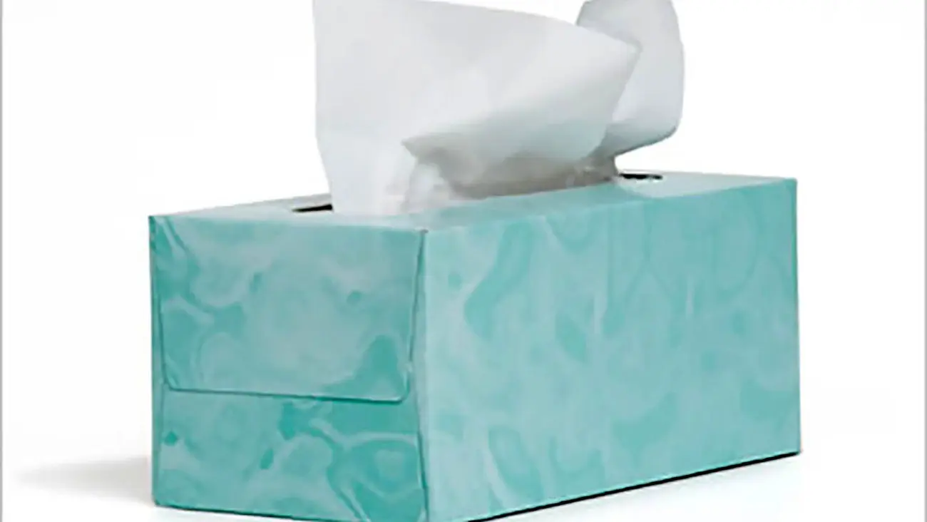 Tissue box. Evolution of liver decellularization methods. Еыгу. Tissues box design. Epithelial tissue histology.