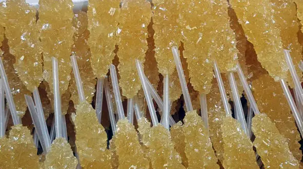 این شاخه نبات ها مرگ هدیه می دهند! / در پاکدشت فاش شد