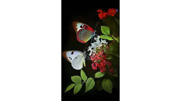 فال ابجد محشر 17 بهمن + فیلم 