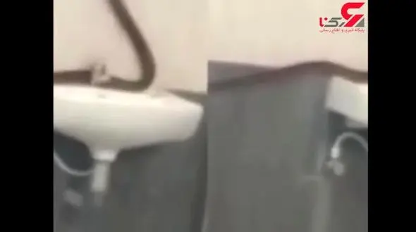 اتفاق عجیب در خوابگاه دختران دانشجو + فیلم / هند