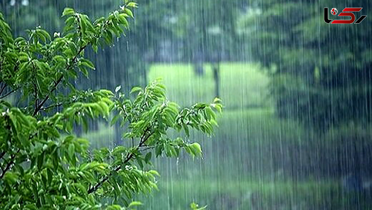 بارش باران و وزش باد شدید در برخی نقاط کشور