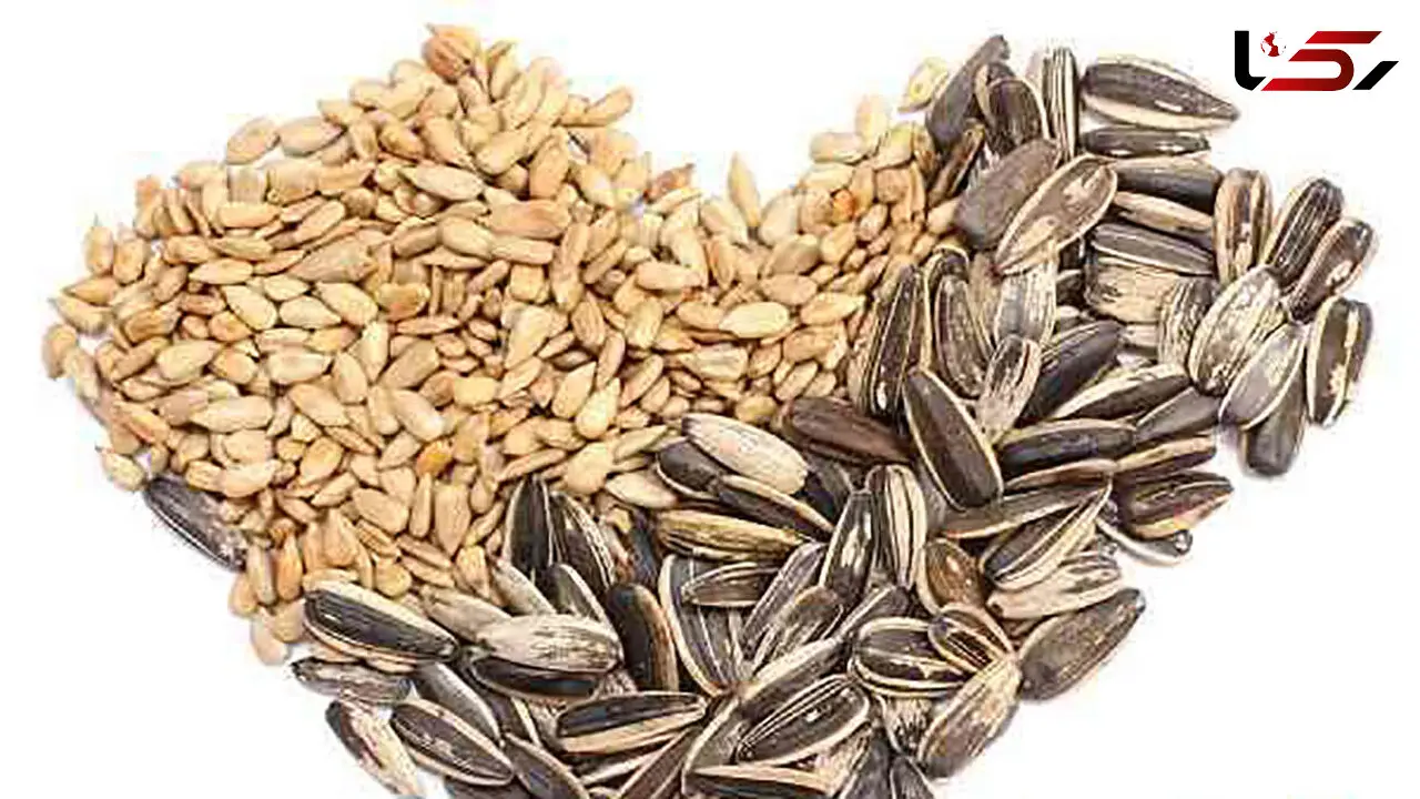 کالری تخمه ها 