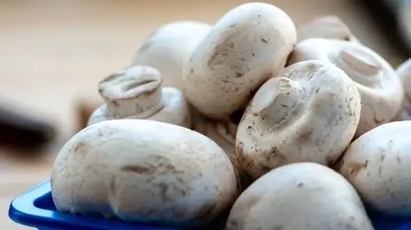 معرفی گیاه خوراکی با بالاترین میزان ویتامین D